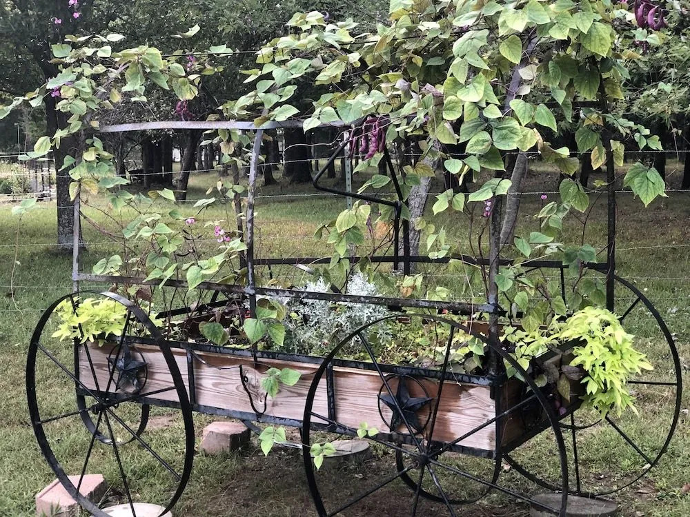 Swan Song Inn