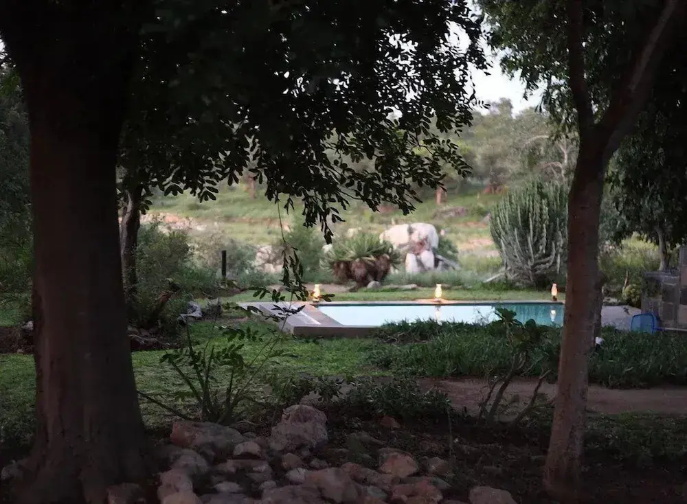 Ivory Wilderness River Rock Lodge