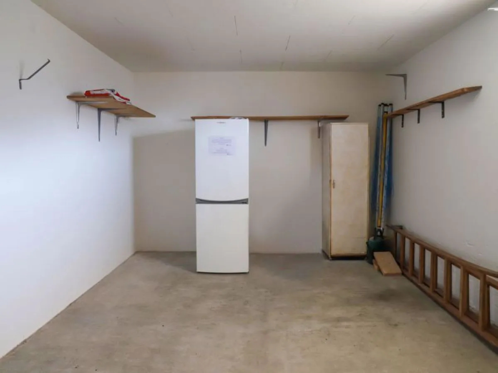 Astrantia - фото 13