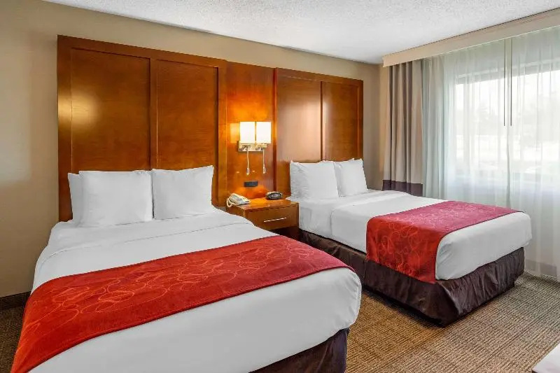 Comfort Suites Oakbrook Terrace near Oakbrook Center - Chambres