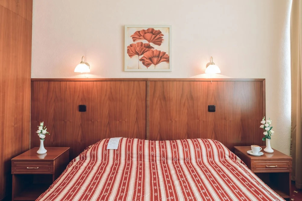 Premier Hotel Rus - Chambres