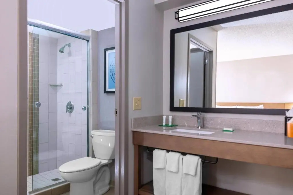 Hyatt Place Dallas/Arlington - Chambres