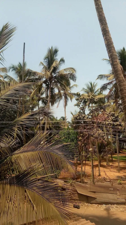 Ashoka Ashvem - Général