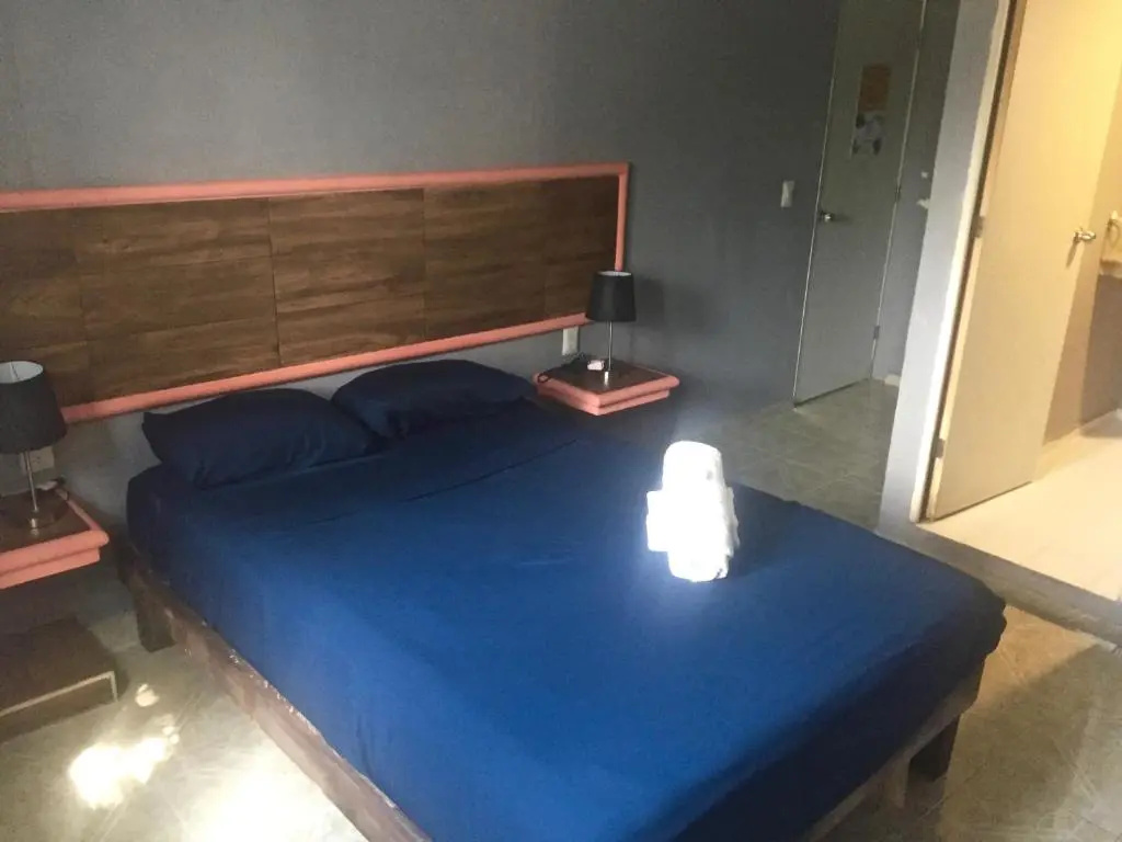 Deluxe Double room (full double bed)