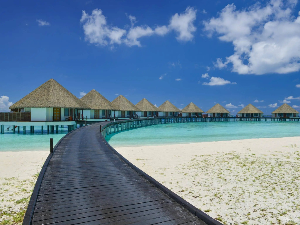 Beach & Waterfront