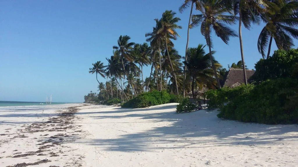 Five Palms Bwejuu - Général