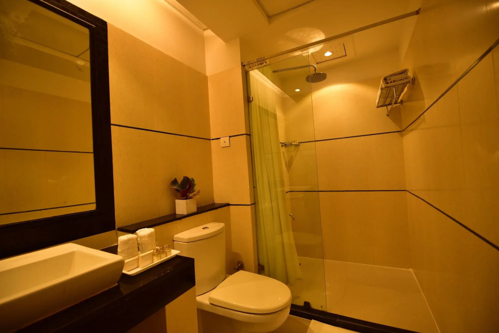 Hotel Surya Royal - фото 10