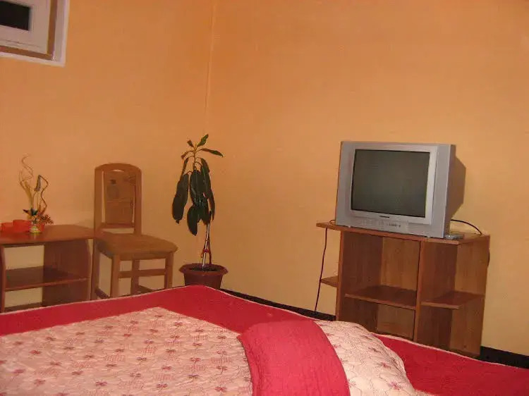 Pension Casa Dan - фото 6