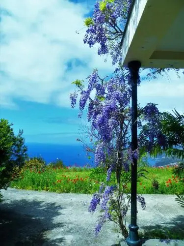 Beach & Waterfront
