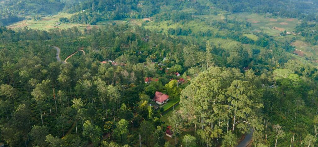 Jetwing Welimada Villa