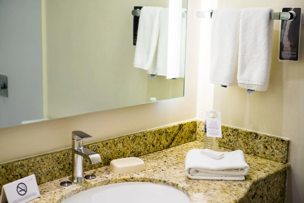 Courtyard by Marriott San Luis Potosi - Général
