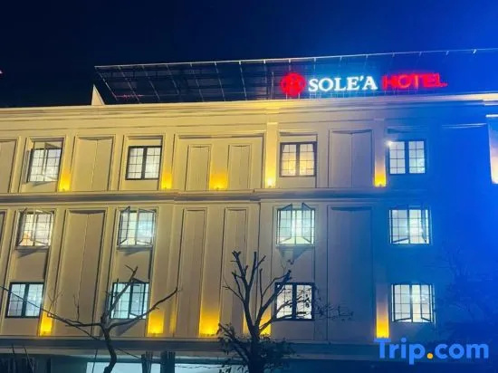 Solea Viet Tri Hotel