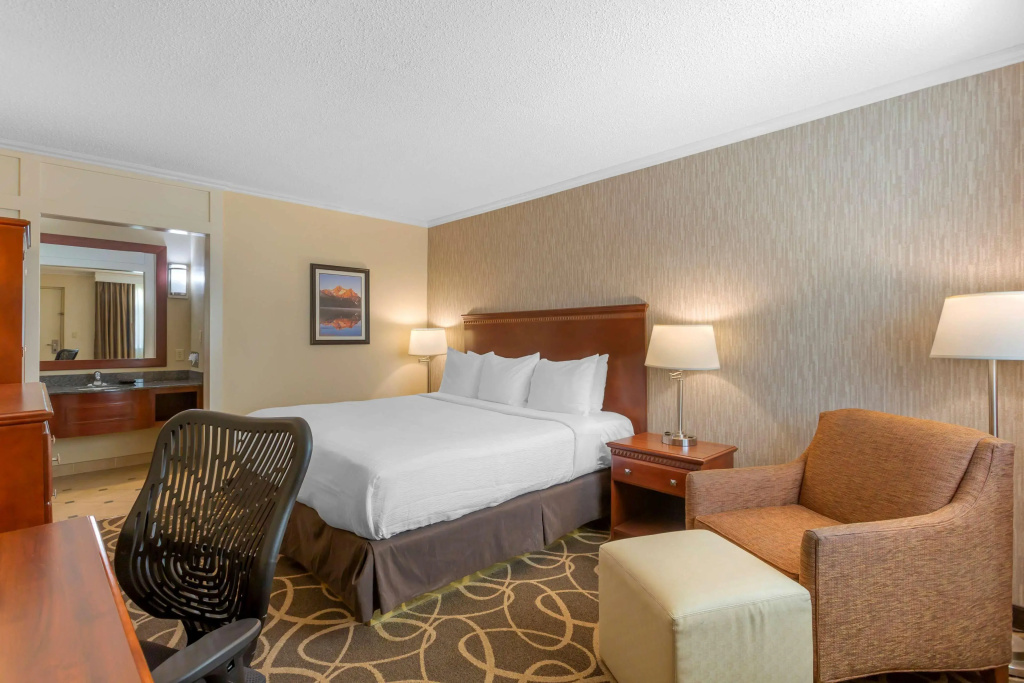 Best Western Plus Burley Inn & Convention Center - Général