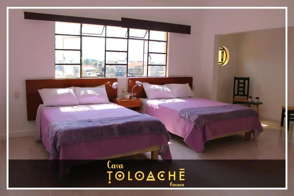 Standard Double room (twin beds)
