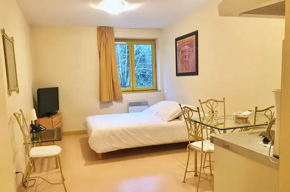 1 Bedroom Standard Apartment