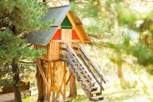 Family & Kids