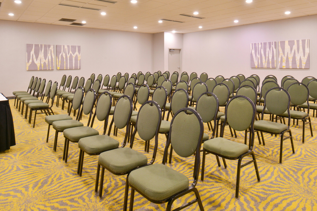 Holiday Inn Dallas-Richardson by IHG - Général