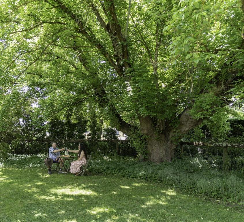 Brookfield Guesthouse