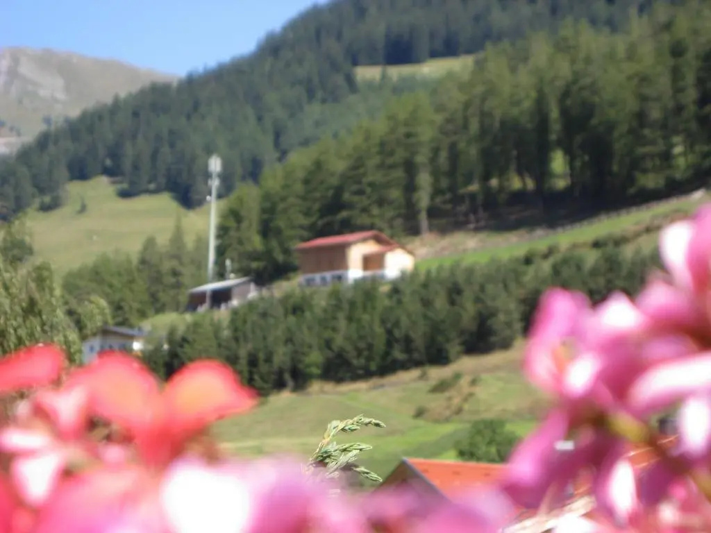 Alpenrose-Apart - Chambres