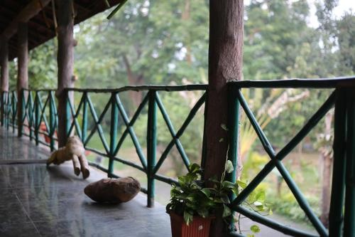 Balcony & Terrace