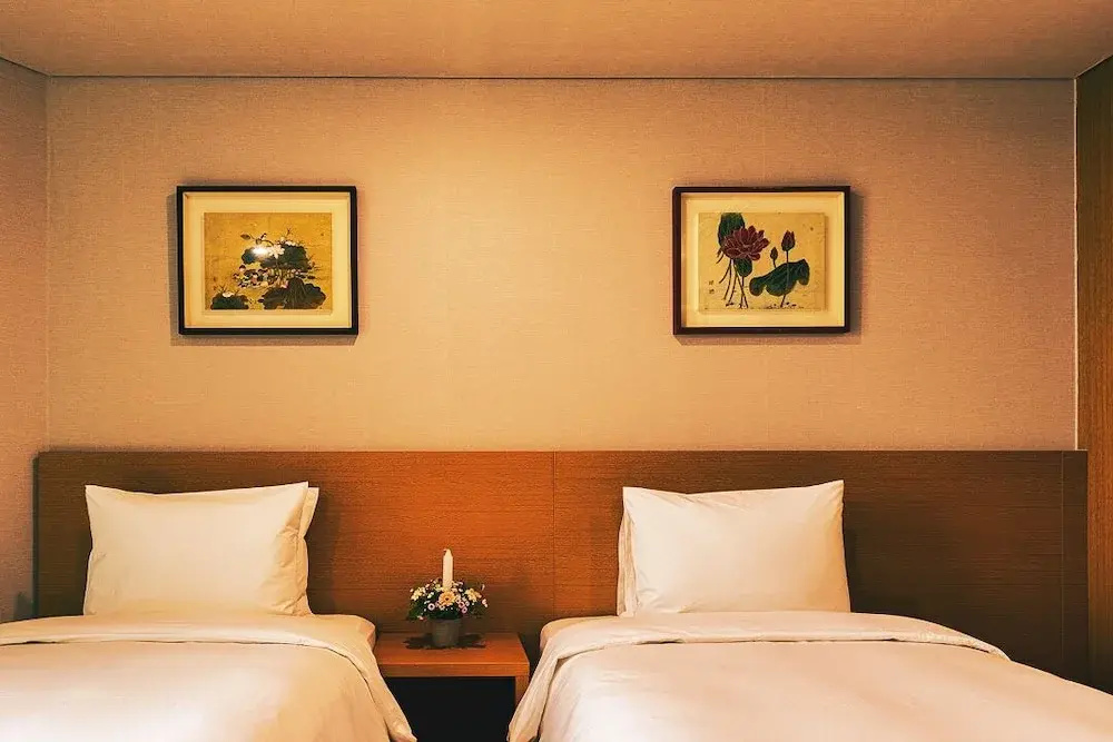 Deluxe Double room (twin beds)
