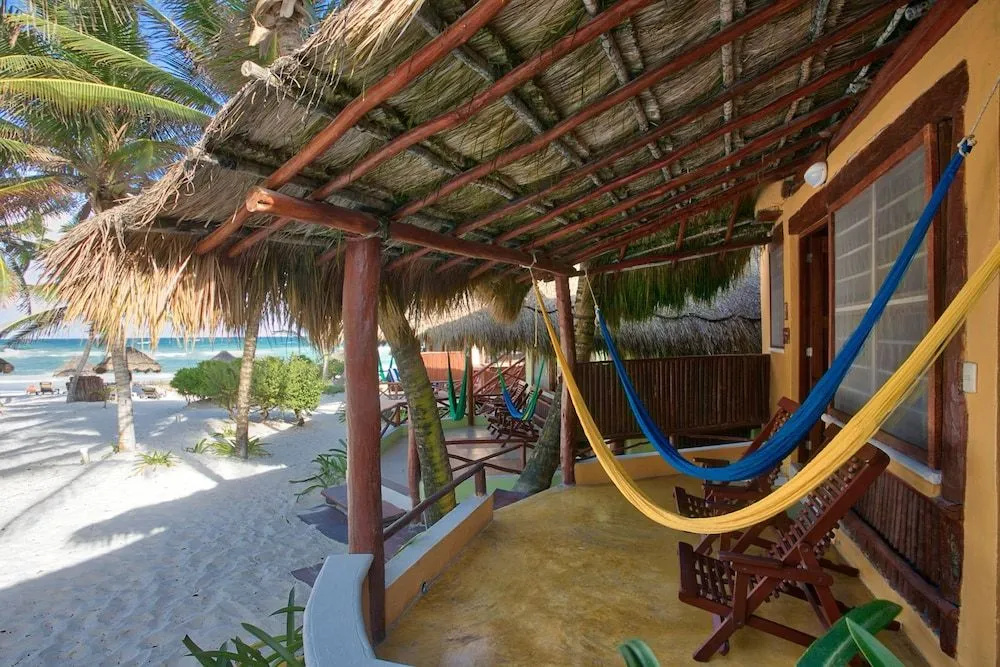 Bt Live Tulum - 2