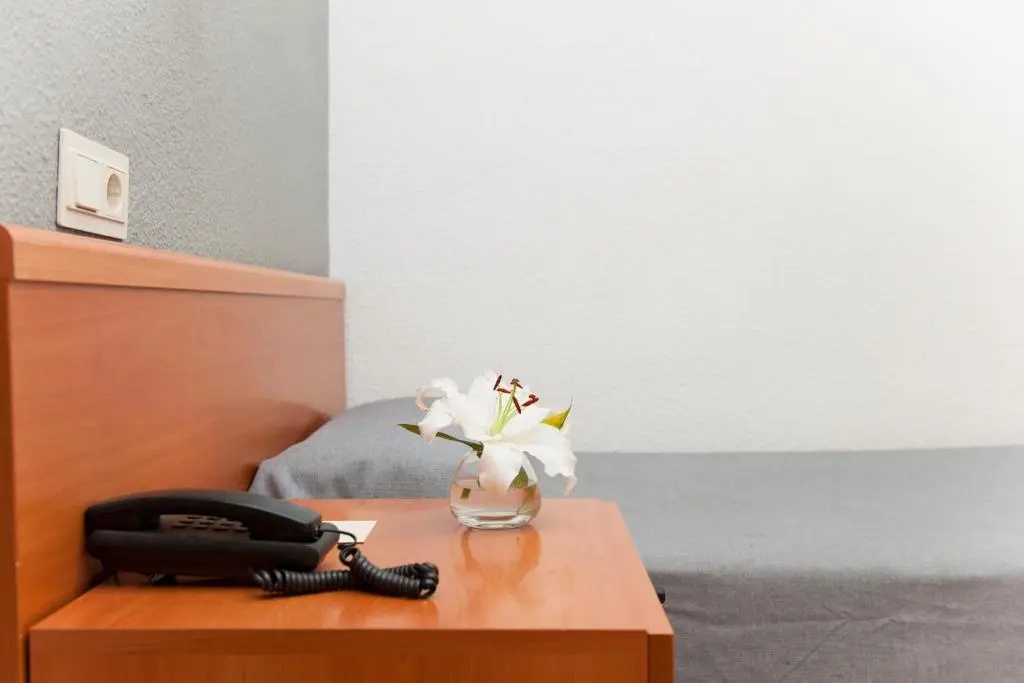 Hotel El Palmeral - Chambres