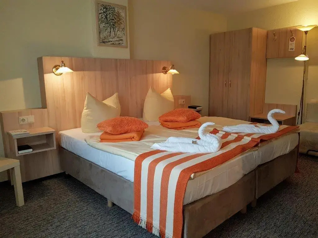 Standard Double room (full double bed)