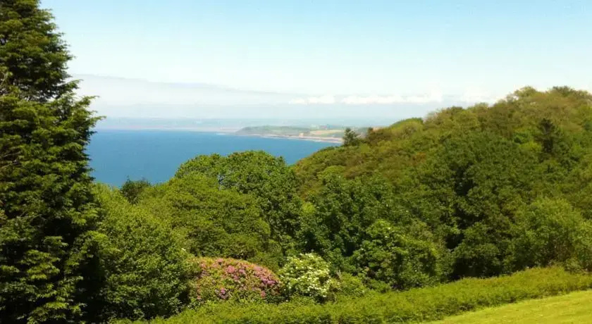 9 Sea Valley