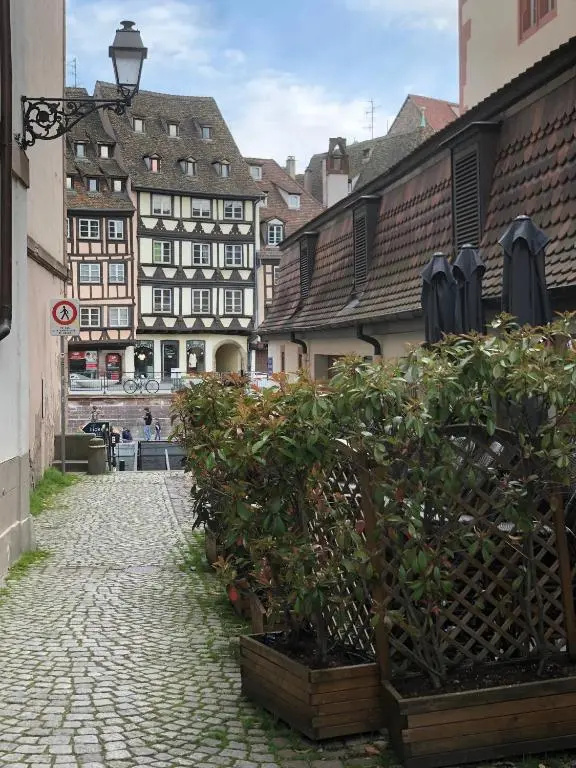 L'Ecluse - Studio Cosy, Calme, Hyper-Centre Strasbourg