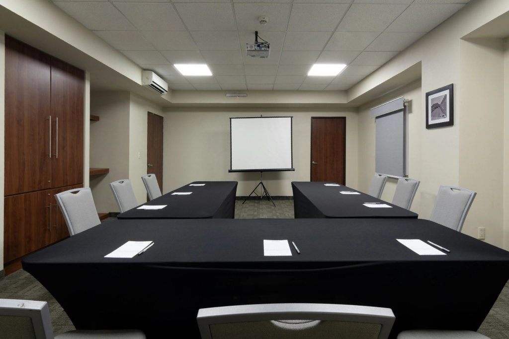 Hampton Inn by Hilton San Juan del Rio - Général