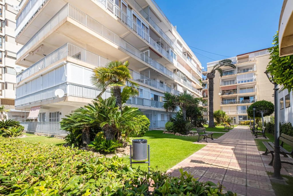 Penthouse El Pato 872