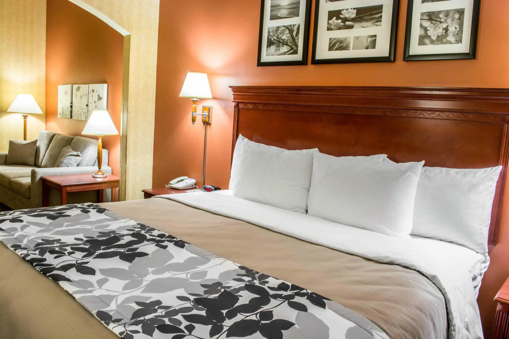 Comfort Inn & Suites Ashland – Richmond North - Tap to explore photos