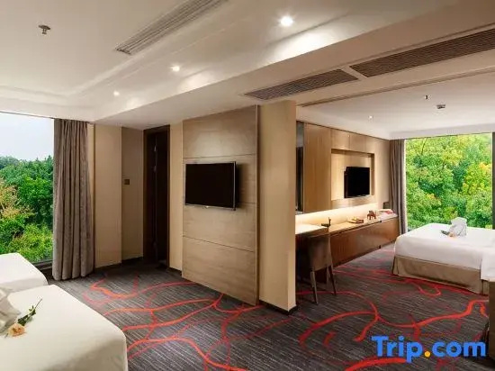 Vienna Hotel - Chambres