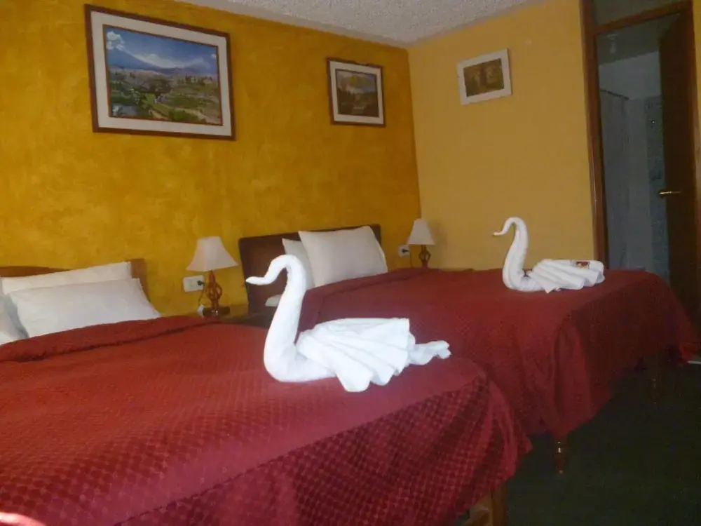 La Posada Del Colca - фото 4