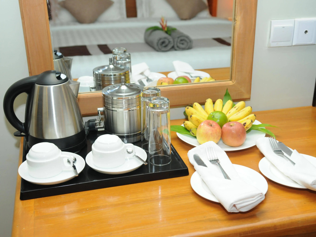 毗湿奴精品酒店(The Visnu Boutique Hotel) - Général
