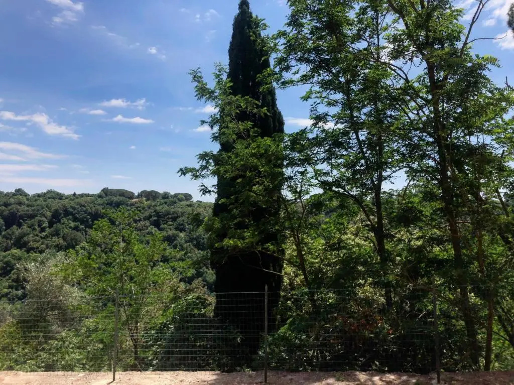 La Casa all'Oliveto