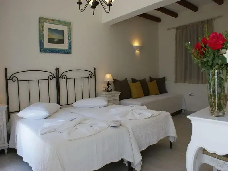 Standard Double room with balcony (full double bed)