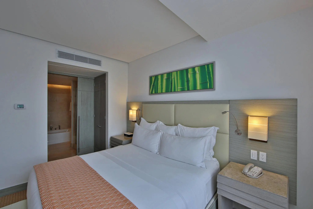 1 Bedroom Suite