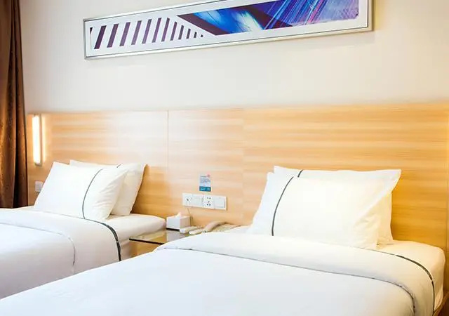 Standard Double room (twin beds)