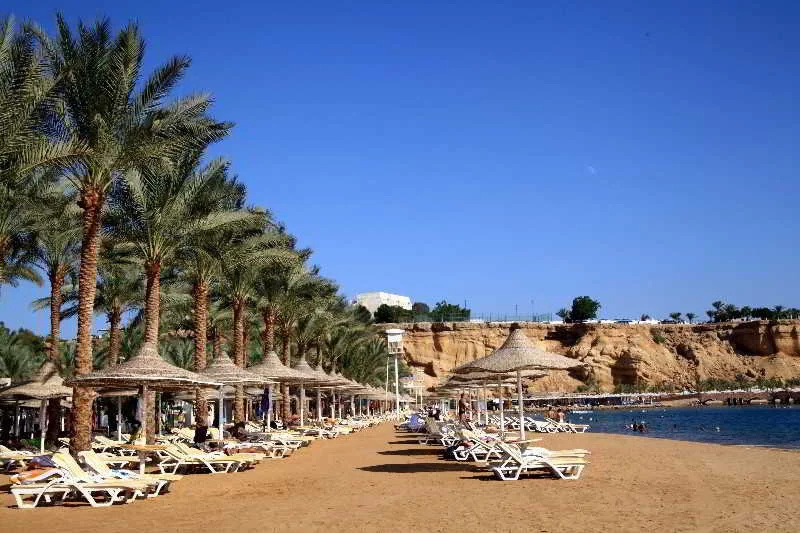 Beach & Waterfront