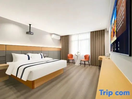 Standard Double room with city view (full double bed)