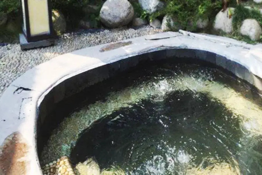 Mangshan Forest Hot Spring Tourism Resort - Général