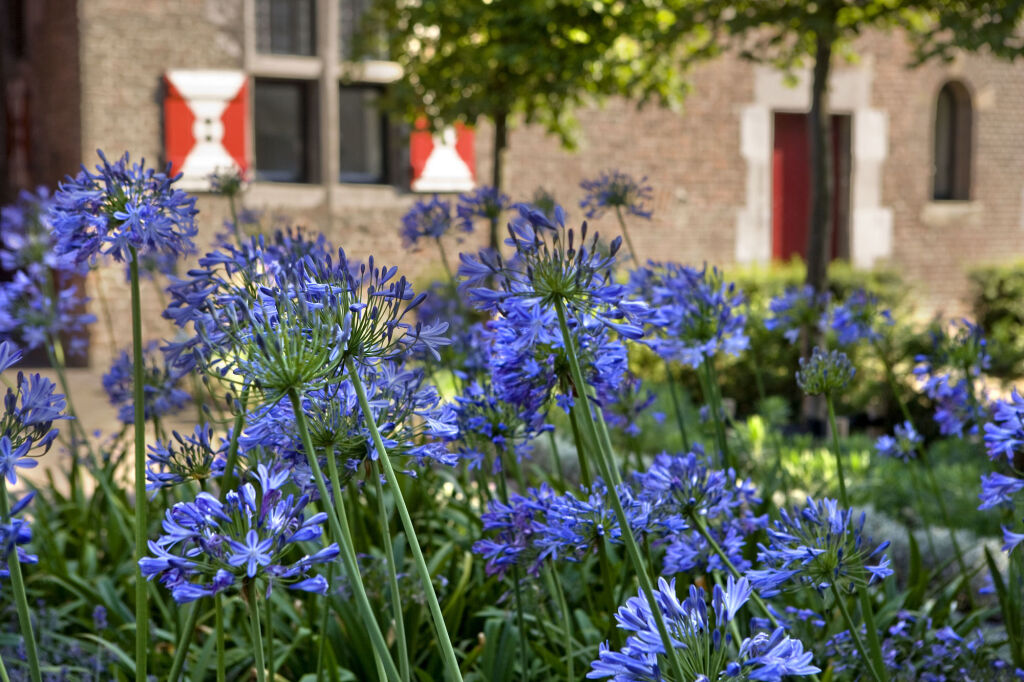 Kruisherenhotel Maastricht picture