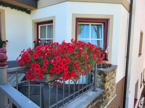 Balcony & Terrace