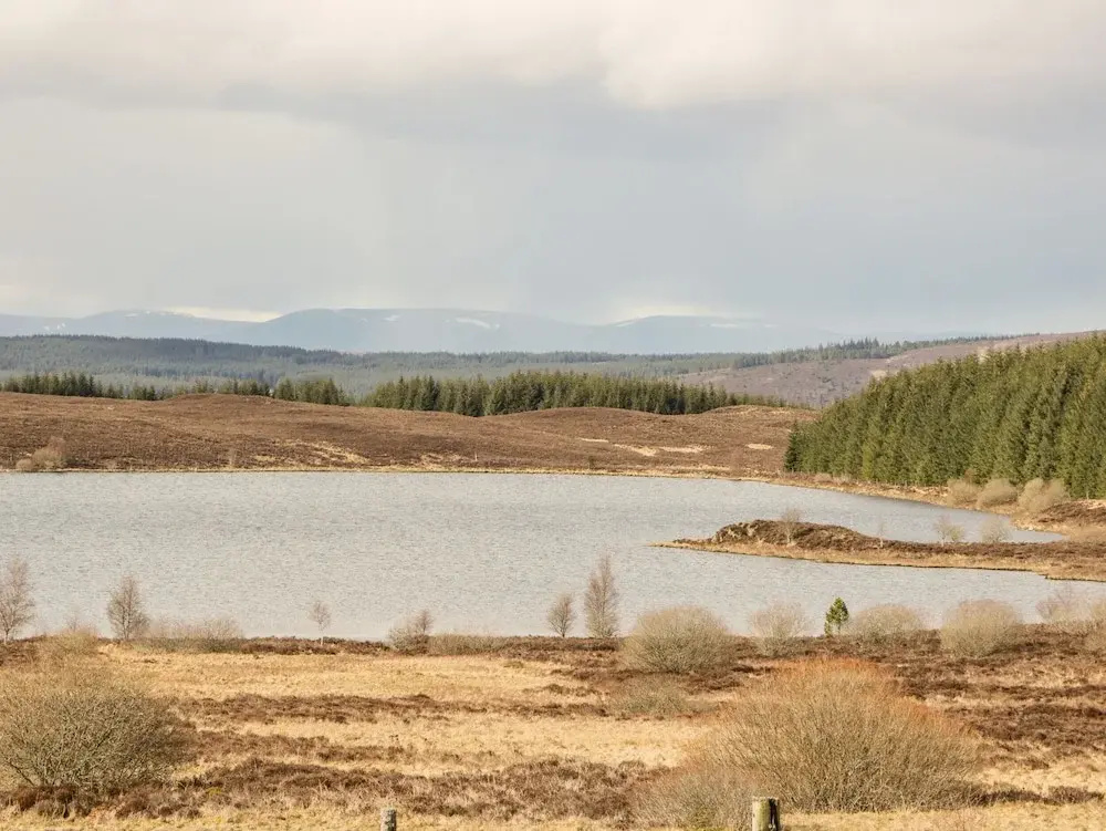 Ptarmigan Lodge