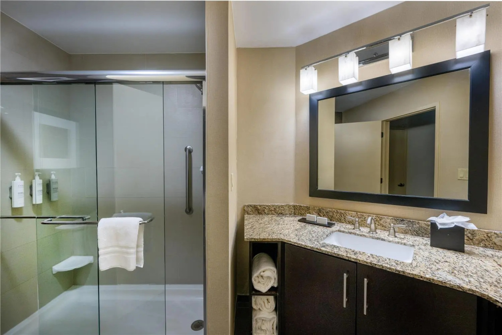 Embassy Suites by Hilton St. Louis Airport - Général