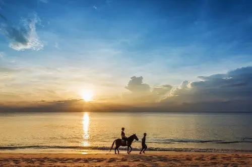 Beach & Waterfront