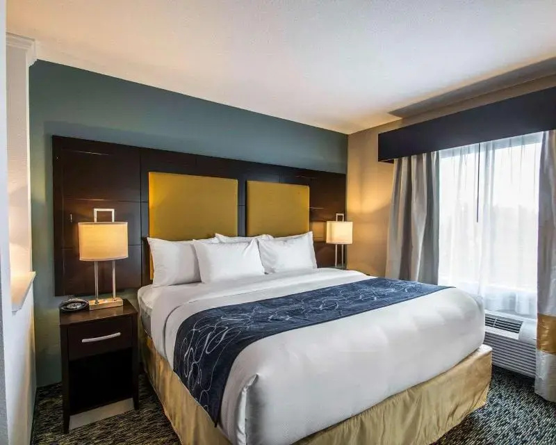 Comfort Suites Fort Lauderdale Airport South & Cruise Port - Chambres