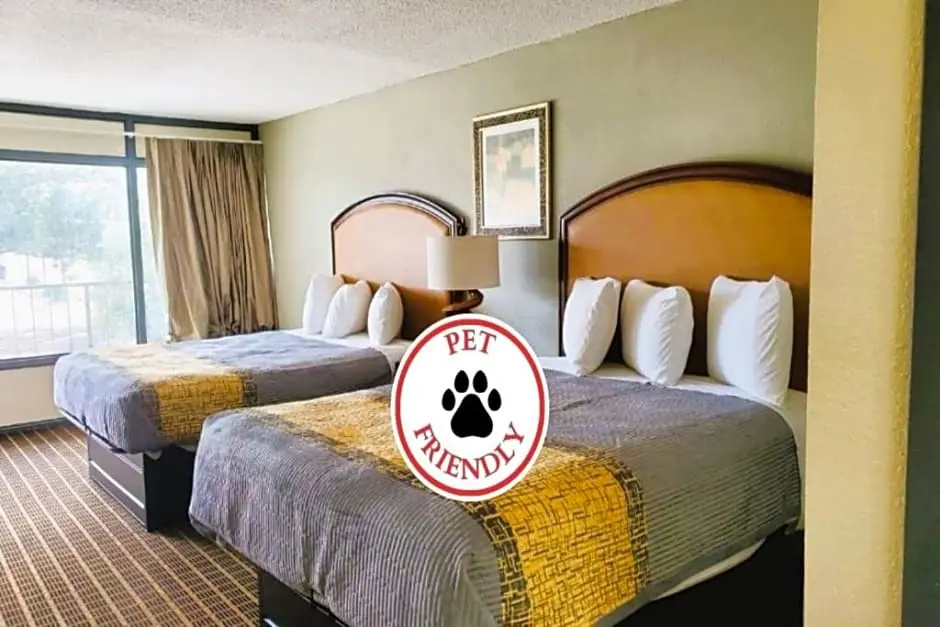 Palmetto Inn & Suites - Chambres